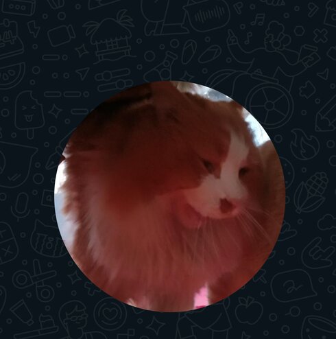 Image of my friend's pfp